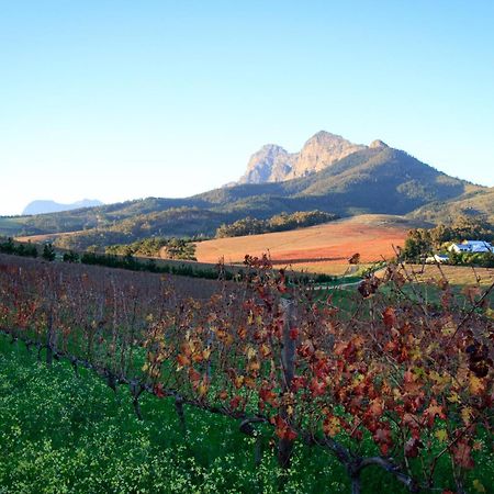 Marianne Wine Estate Bed & Breakfast Stellenbosch Bagian luar foto