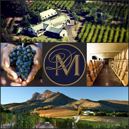 Marianne Wine Estate Bed & Breakfast Stellenbosch Bagian luar foto