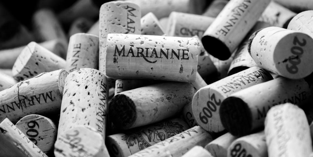 Marianne Wine Estate Bed & Breakfast Stellenbosch Bagian luar foto