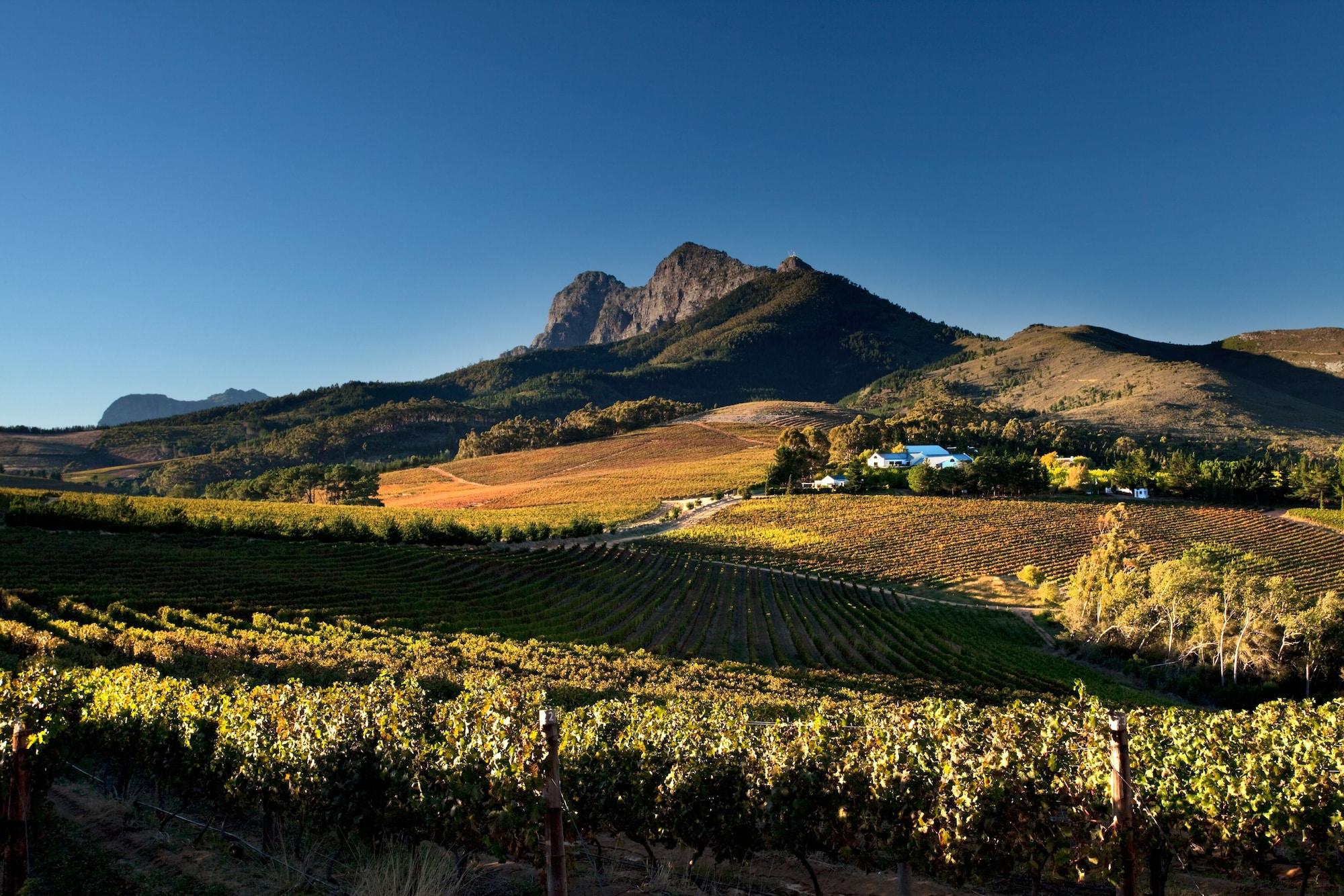 Marianne Wine Estate Bed & Breakfast Stellenbosch Bagian luar foto