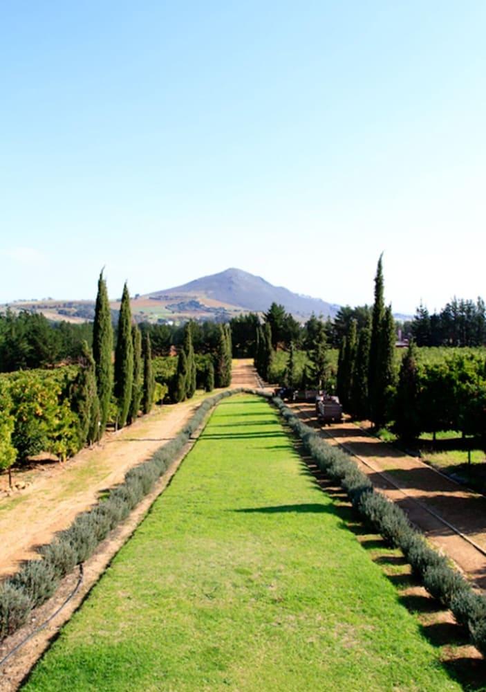 Marianne Wine Estate Bed & Breakfast Stellenbosch Bagian luar foto