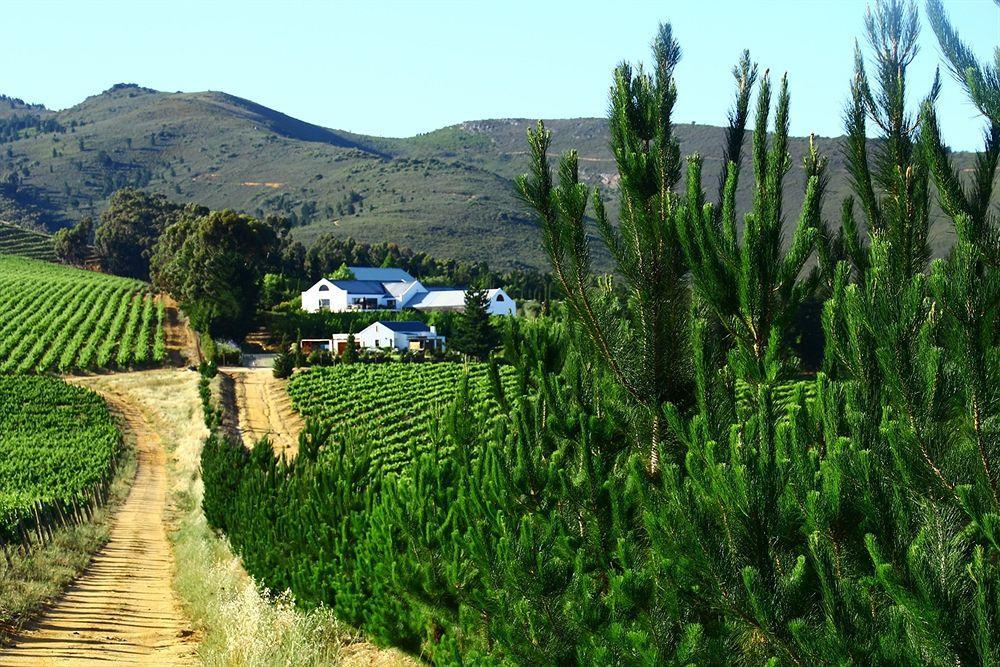 Marianne Wine Estate Bed & Breakfast Stellenbosch Bagian luar foto
