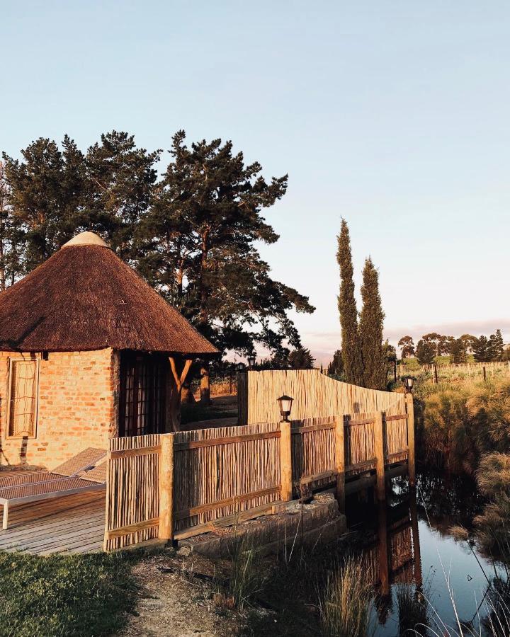 Marianne Wine Estate Bed & Breakfast Stellenbosch Bagian luar foto